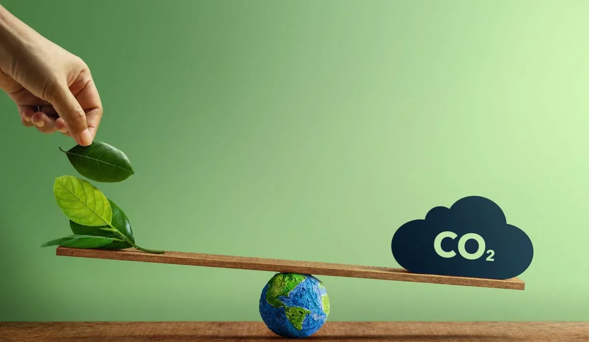 10 easy ways to reduce your carbon footprint.webp