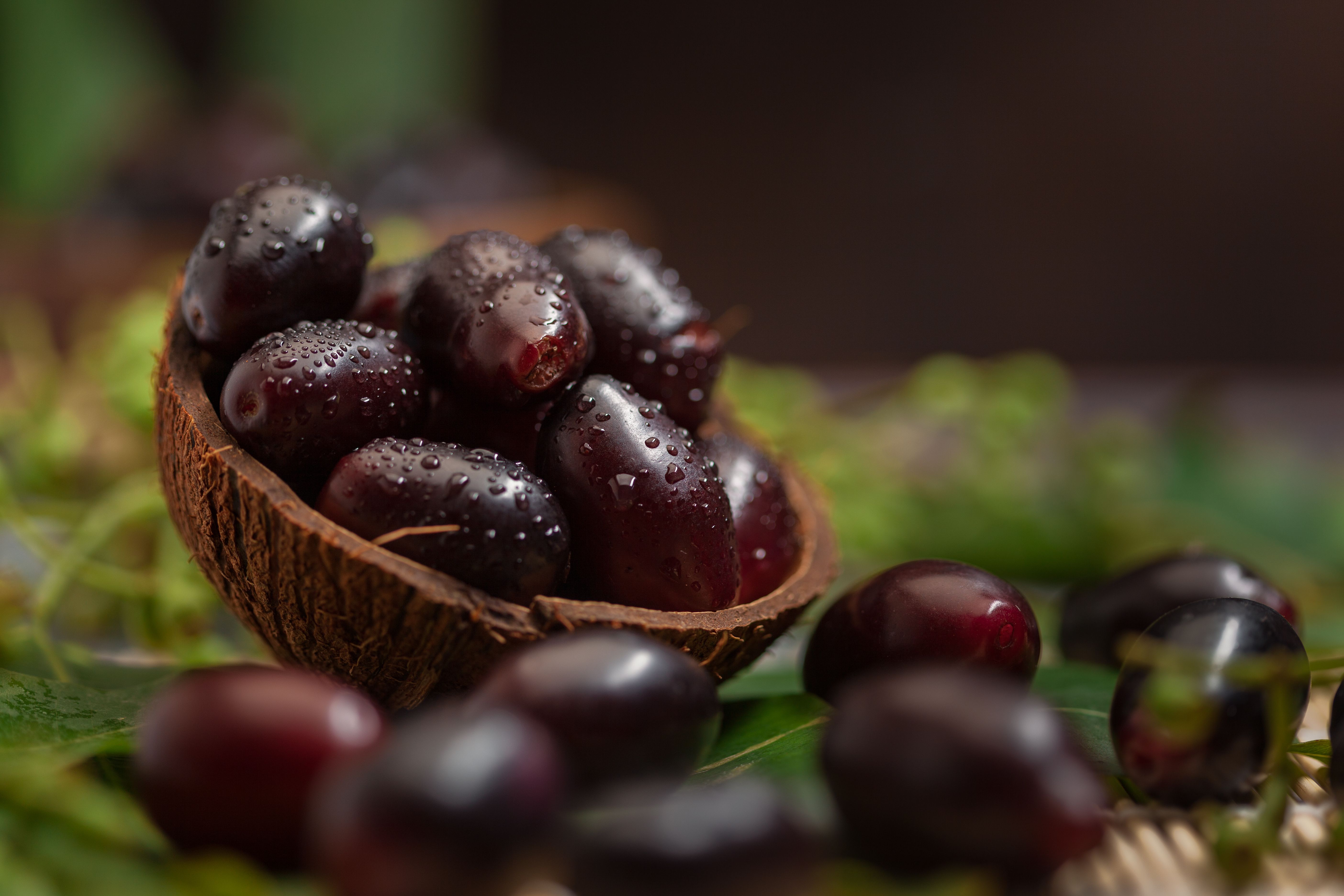 AdobeStock_513260907.jpeg
