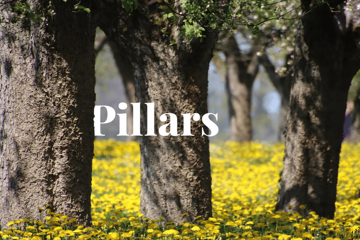 All you need to know about the 3 pillars of corporate sustainability.webp