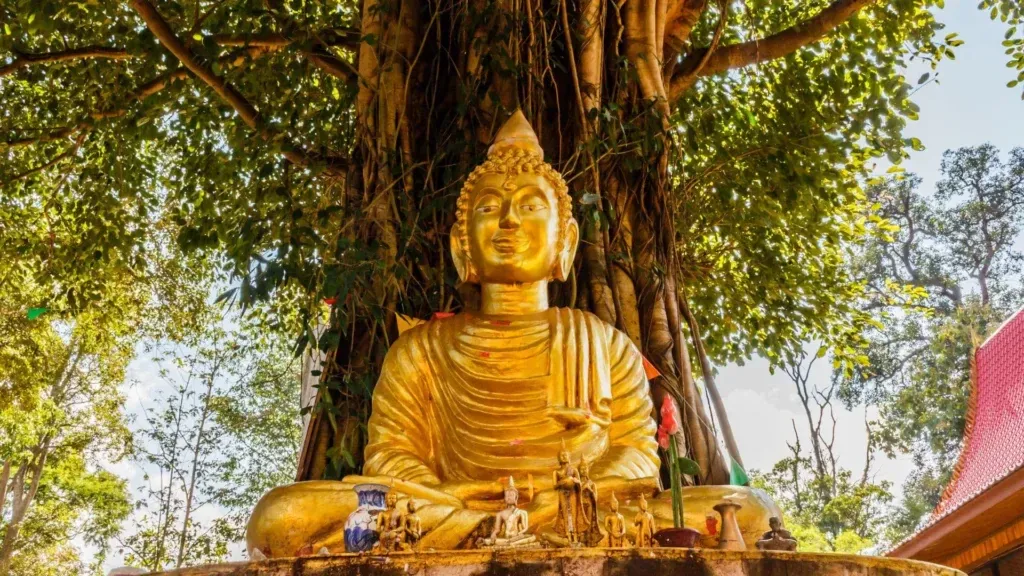 GROW-BILLION-TREES-BODHI-TREE_1e240eba-86dc-487d-a558-ef3dcfb2e569.webp
