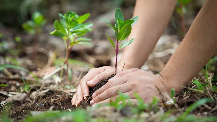 India-Briefing-Corporate-Social-Responsibility-in-India-3.webp