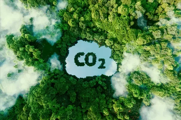 co2.webp