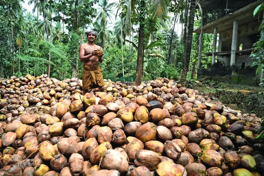 coconut.webp