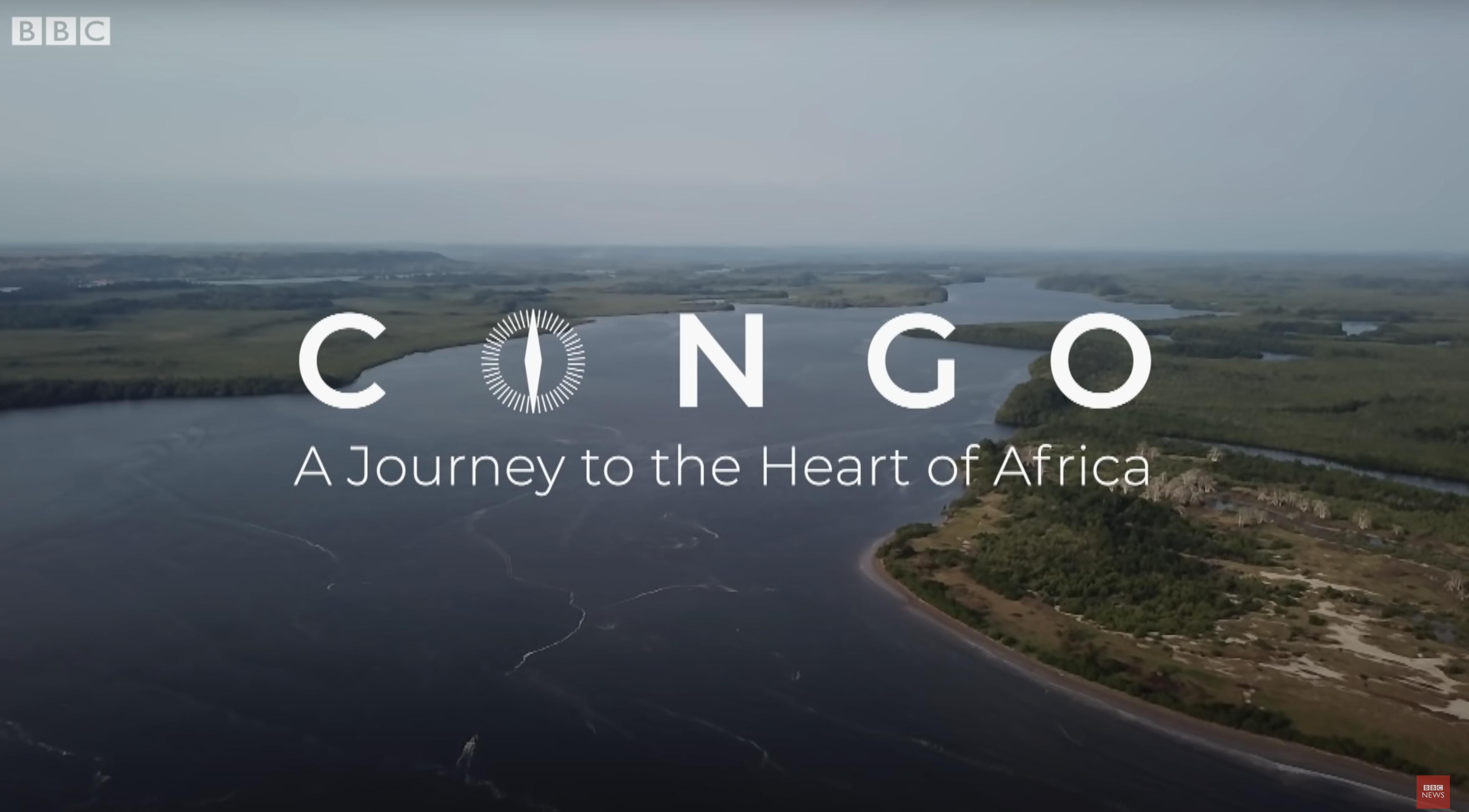 comgo rainforest.jpg