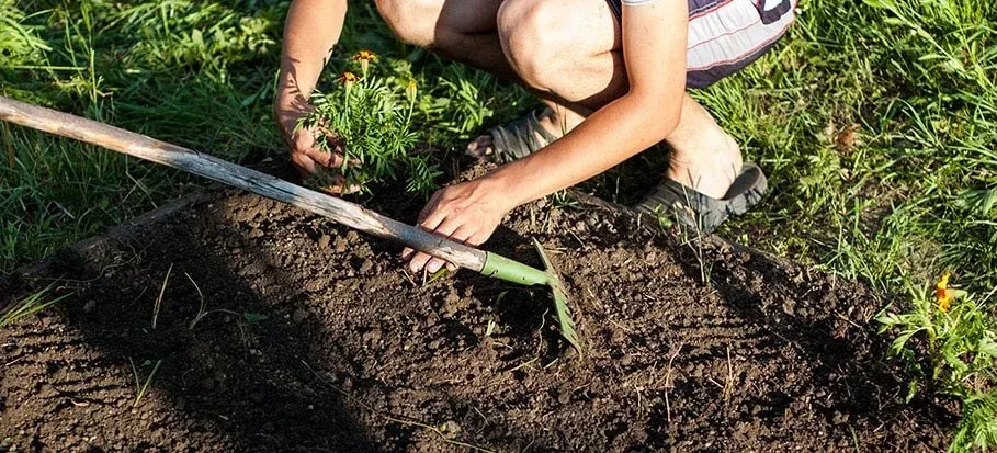 how-to-level-soil-before-laying-turf.jpg.webp