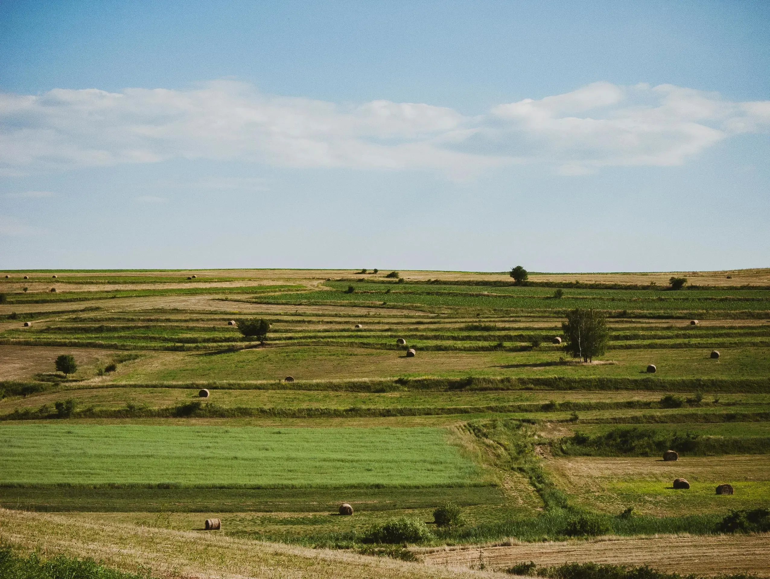 pexels-cosmin-gavris-2437254-32880342.webp
